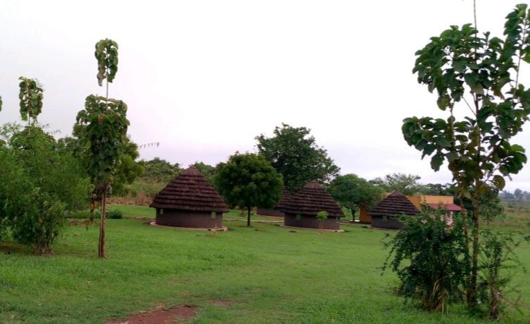 Grassroots Cottages Murchsion Falls Purongo Esterno foto