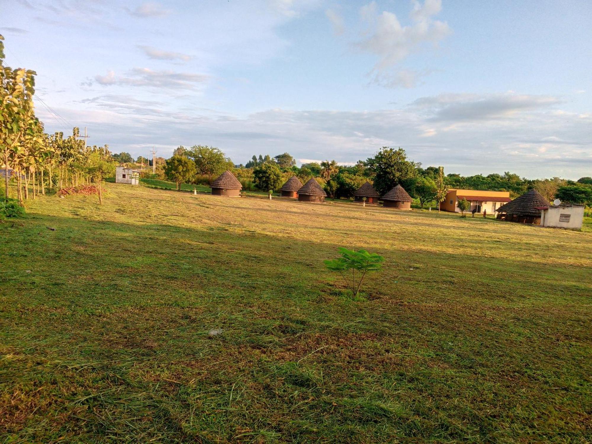 Grassroots Cottages Murchsion Falls Purongo Esterno foto