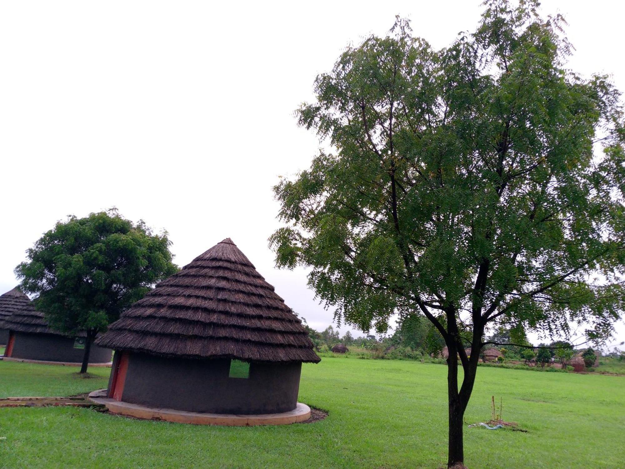 Grassroots Cottages Murchsion Falls Purongo Esterno foto